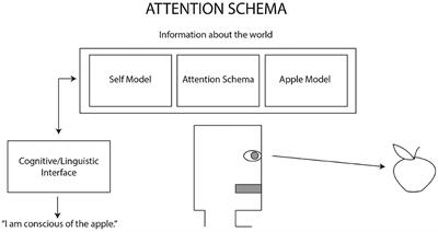 Why Build a Robot With Artificial Consciousness? How to Begin? A Cross-Disciplinary Dialogue on the Design and Implementation of a Synthetic Model of Consciousness